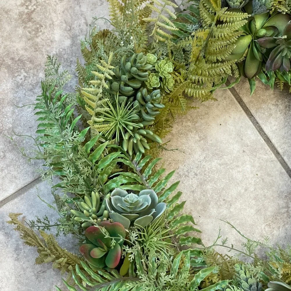 N/A succulent fern